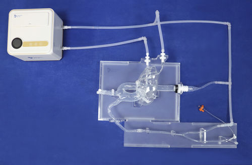 冠状动脉血管模型 - XXD003-01 - Trando 3D Medical Technology - 颈动脉 / 用于心脏手术 / 培训