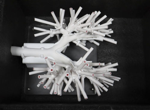血管血管模型 - ZQG-13-05 - Trando 3D Medical Technology - 培训