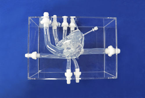 心脏血管模型 - XXK002DJ-1 - Trando 3D Medical Technology - 培训 / 消融治疗 / 透明