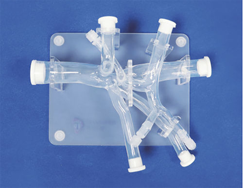 腹部血管模型 - FBD021 - Trando 3D Medical Technology - 血管 / 培训 / 透明