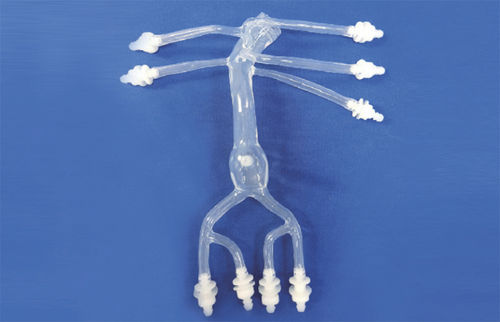 腹部血管模型 - FBD027 - Trando 3D Medical Technology - 血管 / 培训 / 透明