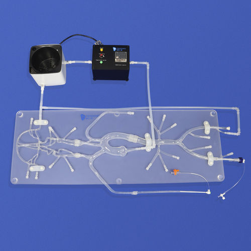 神经学血管模型 - SJ001D-B - Trando 3D Medical Technology - 大脑 / 神经 / 颅内