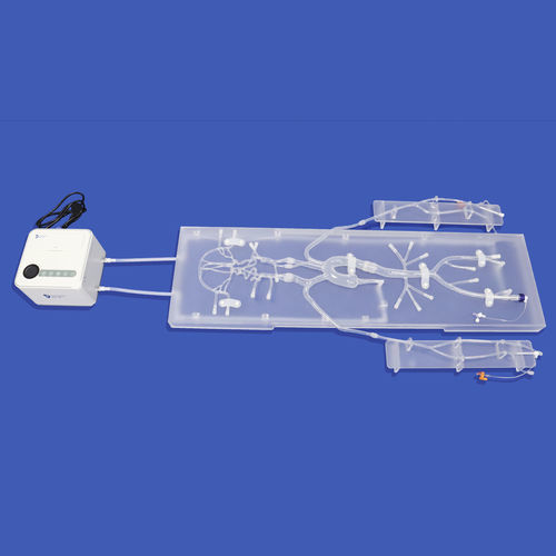 颈动脉血管模型 - SJ001D-011 - Trando 3D Medical Technology - 威利斯多边形 / 神经 / 颅内