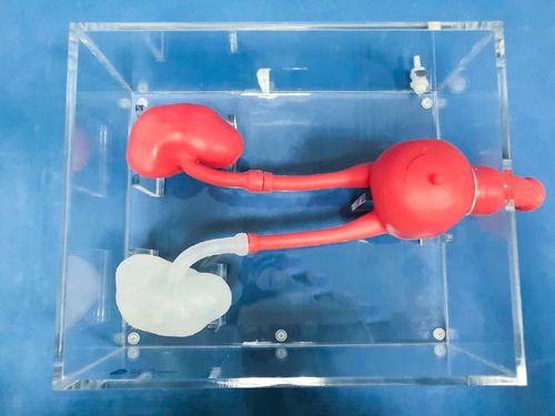 培训模拟器 - MN-02-1 - Trando 3D Medical Technology - 用于输尿管镜检查 / 手术 / 骨盆