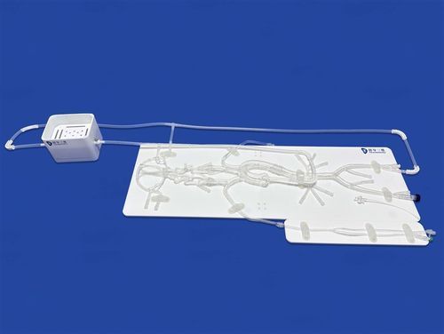 颅内血管模型 - SJ001D-E - Trando 3D Medical Technology - 腹部 / 股骨动脉 / 大脑动脉
