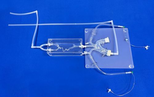 血管血管模型 - SJX006 - Trando 3D Medical Technology - 全身 / 微创手术 / 培训