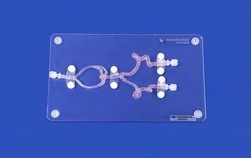 大脑血管模型 - SJX005D - Trando 3D Medical Technology - 颅内 / 血管 / 神经外科