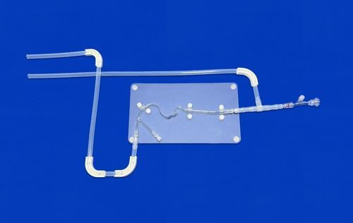 颈动脉解剖模型 - SJJ003D - Trando 3D Medical Technology - 培训 / 血栓切除 / 血管狭窄