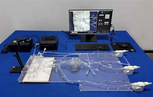 穿刺模拟器 - SJZ002D - Trando 3D Medical Technology - 血管造影术 / 培训 / 一般护理