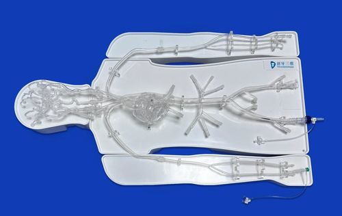 颅内血管模型 - FAC007D - Trando 3D Medical Technology - 心脏 / 腹部 / 胸廓