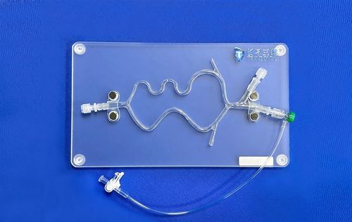 神经系统血管模型 - SJV015 - Trando 3D Medical Technology - 脑部 / 大脑 / 颅内