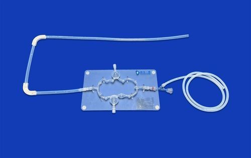 神经系统血管模型 - SJV008 - Trando 3D Medical Technology - 脑部 / 大脑 / 颅内
