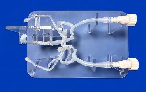 神经系统血管模型 - SJV007 - Trando 3D Medical Technology - 脑部 / 大脑 / 颅内