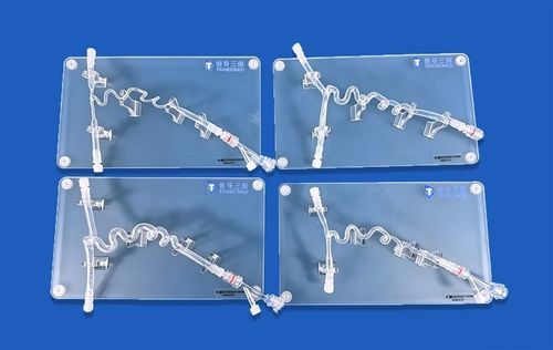 颈内动脉血管模型 - SJV012 - Trando 3D Medical Technology - 培训 / 动脉瘤 / 硅胶