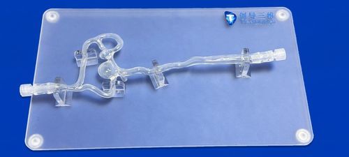 大脑前动脉血管模型 - SJV002 - Trando 3D Medical Technology - 大脑中动脉 / 右颈内动脉 / 左颈内动脉
