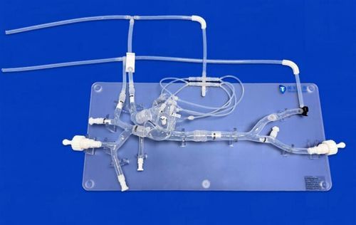 血管血管模型 - XXM001 - Trando 3D Medical Technology - 心静脉 / 带有血管