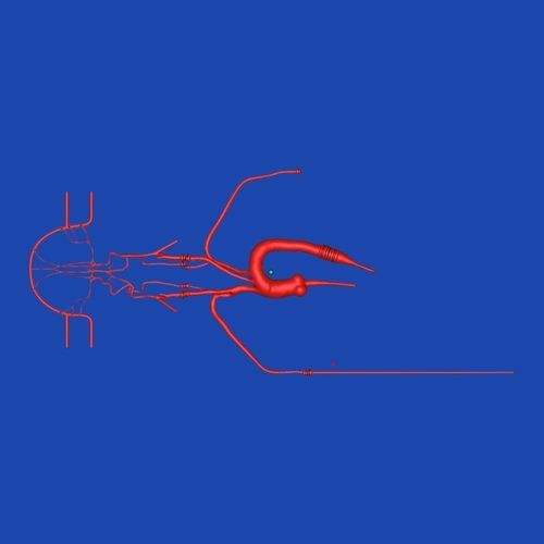 全身血管模型 - SJ001D-019 - Trando 3D Medical Technology - 血管 / 培训 / 透明