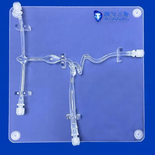 颈动脉血管模型 - SJX007 - Trando 3D Medical Technology - 血管 / 神经外科 / 培训