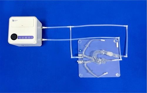 血管血管模型 - XXS014 - Trando 3D Medical Technology - 锁骨下动脉 / 胸主动脉 / 培训