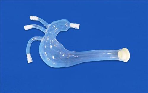 左颈总动脉血管模型 - XXS009 - Trando 3D Medical Technology - 左锁骨下动脉 / 肱动脉主干 / 胸主动脉