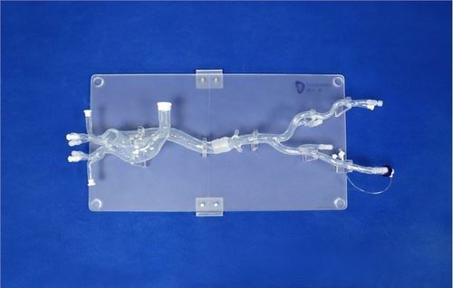 股骨动脉血管模型 - XXD019 - Trando 3D Medical Technology - 胸主动脉 / 髂动脉 / 腹主动脉