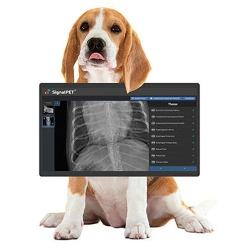 兽用放射线成像系统 / 数字 - SignalRAY+ - SignalPET - 移动式