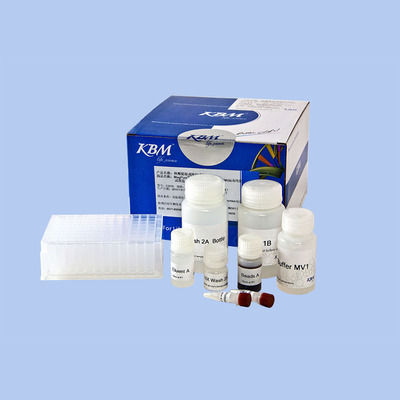 溶液试剂套装 - HangZhou KBM Life Sciences Co., Ltd. - 蛋白酶K / PCR / 蛋白质
