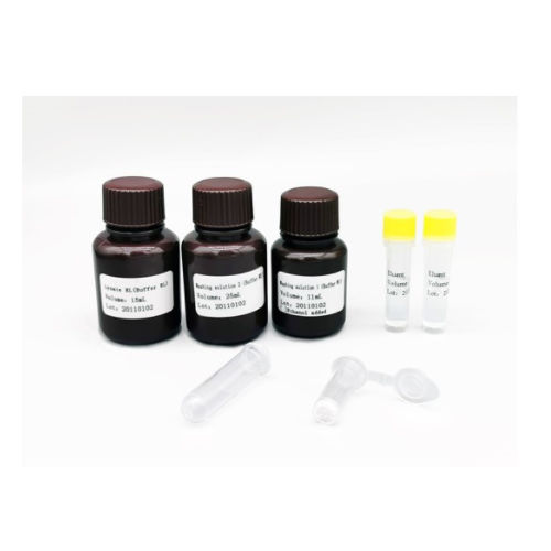缓冲溶液试剂套装 - MABSKY BIO-TECH CO.，LTD - 临床 / PCR / 核酸