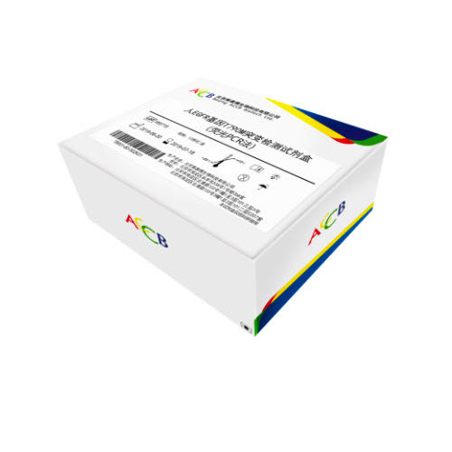 癌症快速诊断套装 - Beijing ACCB Biotech Ltd. - 肿瘤科 / 用于 EGFR 变异 / 细胞