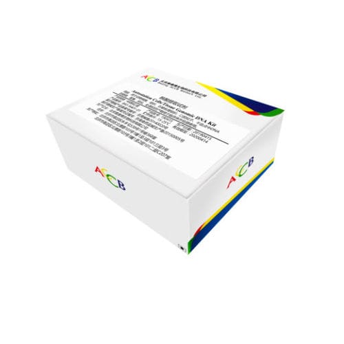 DNA聚合酶试剂套装 - Beijing ACCB Biotech Ltd. - 等离子 / 组织