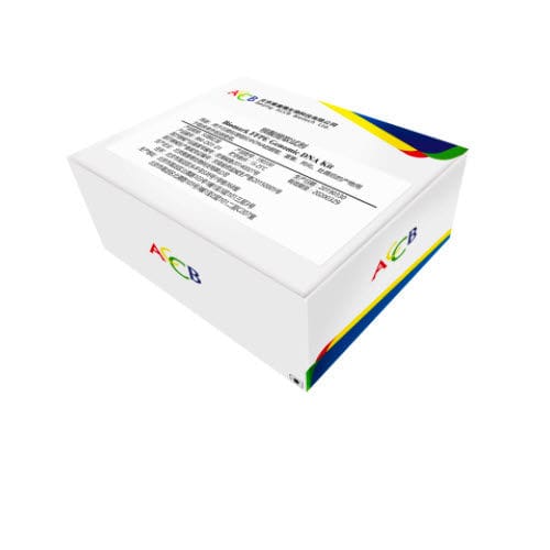 酶试剂套装 - Biomark  - Beijing ACCB Biotech Ltd. - DNA提取 / 基因组DNA