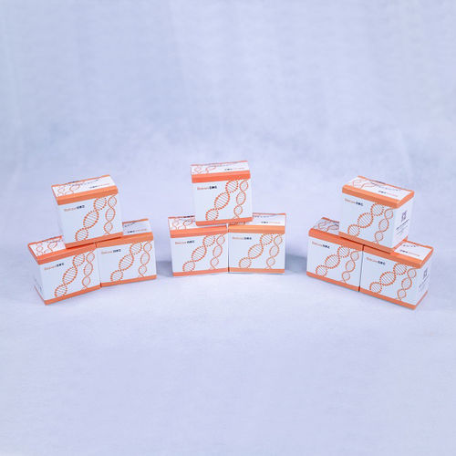 溶液试剂套装 - Baicare - 用于实时PCR / RT-PCR / RT-qPCR