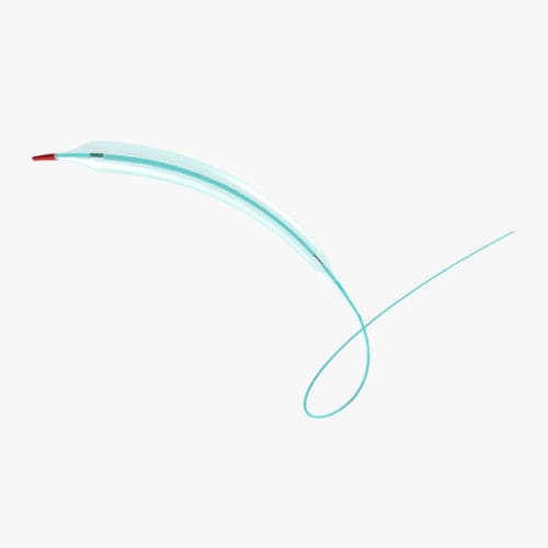 扩张导管 - Saule&trade; - Princeton Medical Scientific - 冠状动脉 / 球囊 / 创口贴