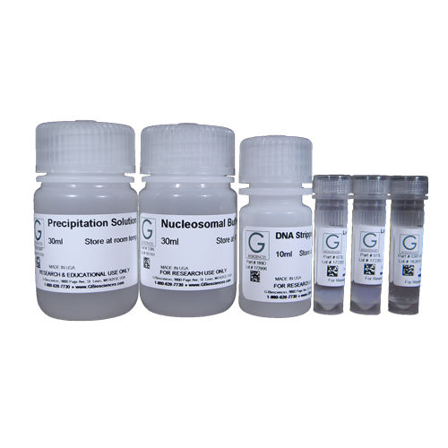 梯状DNA试剂套装 - 786-209 - G-BIOSCIENCES - 细胞凋亡 / 基因组DNA