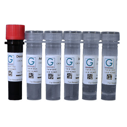 溶液试剂套装 - API-16S - G-BIOSCIENCES - 酶 / 细胞凋亡 / 蛋白质