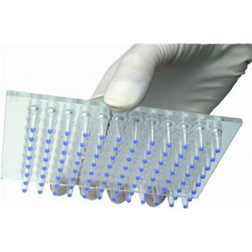 缓冲溶液试剂 - Enhancer™ - G-BIOSCIENCES - 抗体 / 用于研究 / 蛋白质