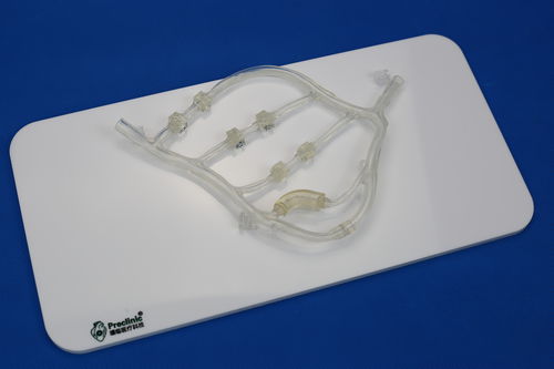 血管血管模型 - PLXG1014 - Shanghai Preclinic Medtech - 用于心脏手术