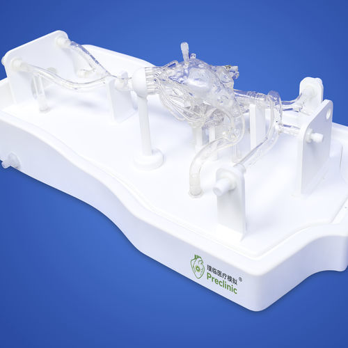 牙窦血管模型 - PLXG1011 - Shanghai Preclinic Medtech - 心脏 / 血管 / 腔静脉