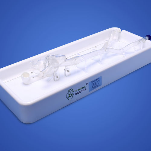心脏解剖模型 - PLXG1012 - Shanghai Preclinic Medtech - 腔静脉 / 髂静脉 / 耳廓