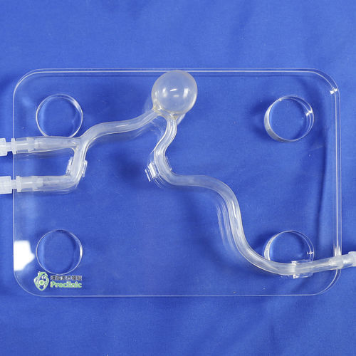颈动脉血管模型 - PLXG2003 - Shanghai Preclinic Medtech - 微创手术 / 神经学 / 培训