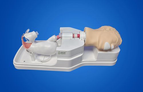 胃镜检查模拟器 - LCWNJ004 - Shanghai Preclinic Medtech - 内窥镜 / 解剖 / 用于内镜培训
