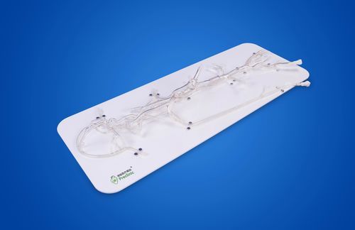 脑部血管模型 - PLSJXG001C - Shanghai Preclinic Medtech - 大脑 / 颅内 / 威利环状动脉环