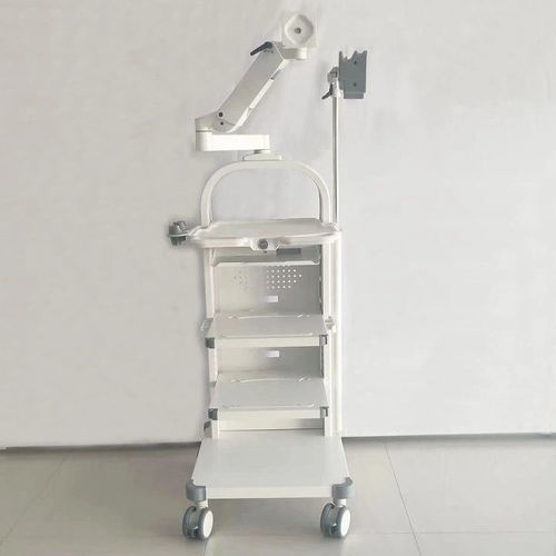医用手推车 - Olympus  - QingDao Wealthy automation equipment co., Ltd - 内窥镜 / 运输