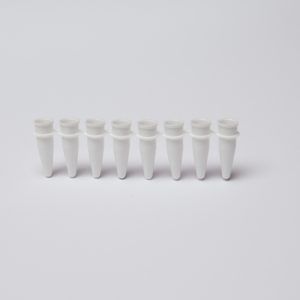实验室试管 - Phenix  - Advanced Molecular Diagnostics Ltd. - 用于PCR / V 形底部 / 转运