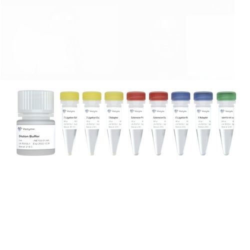 溶液试剂套装 - V3 NE103 - Nanjing Vazyme Medical Technology Co.,Ltd - DNA文库制备