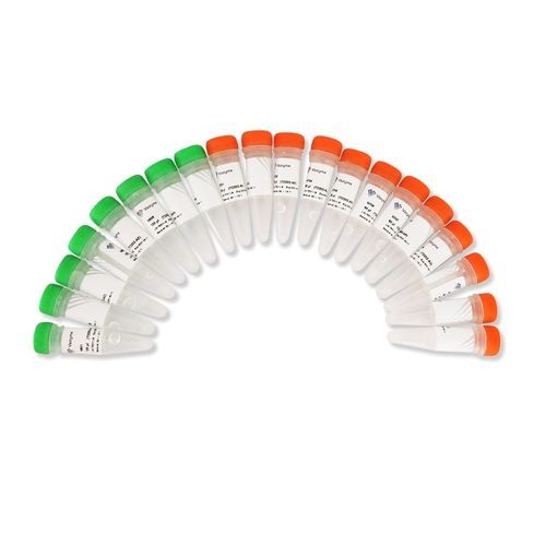 溶液试剂套装 - TruePrepTM - Nanjing Vazyme Medical Technology Co.,Ltd - 用于DNA排列