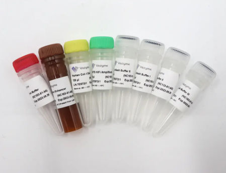 溶液试剂套装 - VAHTS - Nanjing Vazyme Medical Technology Co.,Ltd - 杂交 / 清洁