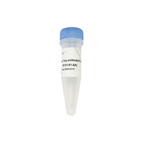 单克隆抗体试剂 - P121 - Nanjing Vazyme Medical Technology Co.,Ltd - 用于分子生物