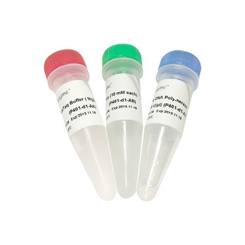 DNA聚合酶试剂套装 - AceTaq® - Nanjing Vazyme Medical Technology Co.,Ltd - Taq-DNA聚合酶 / 制备样本