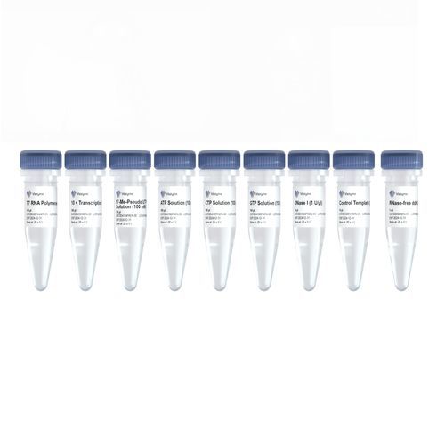 溶液试剂套装 - DD4202EN - Nanjing Vazyme Medical Technology Co.,Ltd - 用于体外转录